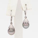 14K White Gold Tahitian Pearl Lever Back Dangle Earrings