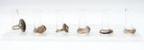 Lot of 6 Vintage Judith Jack Sterling Silver Multi-Stone Rings Size 4.75 - 9