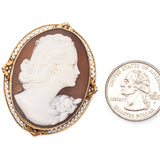 Antique 14K Yellow Gold Cameo Shell Brooch Pin