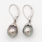 14K White Gold Tahitian Pearl Lever Back Dangle Earrings