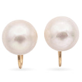 14K Yellow Gold Pearl Non Pierced Screw On Back Earrings