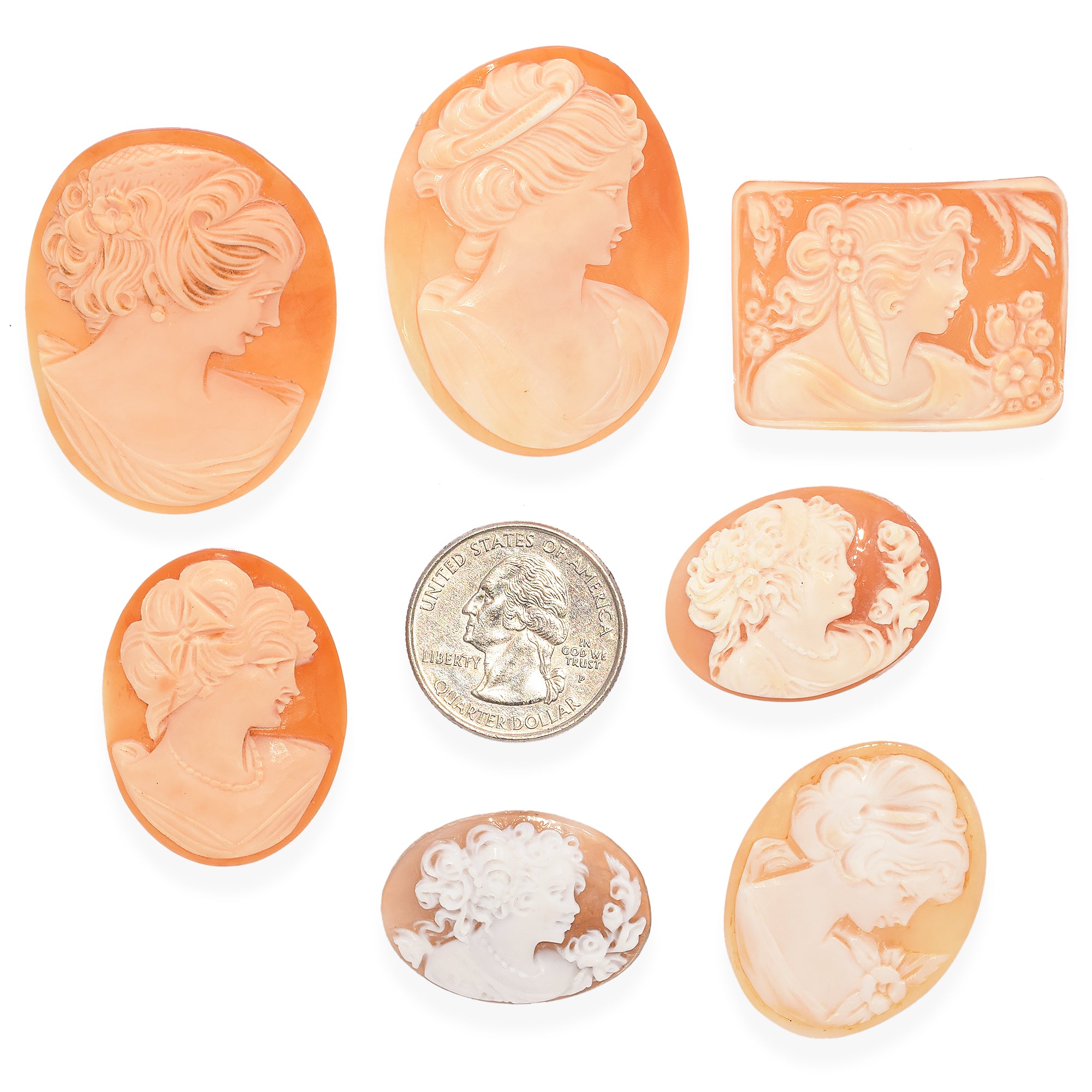 Lot of 7 Vintage Loose Carved Portrait Cameo Shells