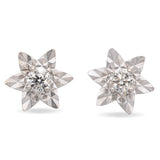 14K White Gold Diamond Star Stud Earrings