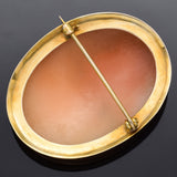 Antique 14K Yellow Gold Cameo Shell Large Oval Brooch Pin 11.4 Grams 43 x 34 mm